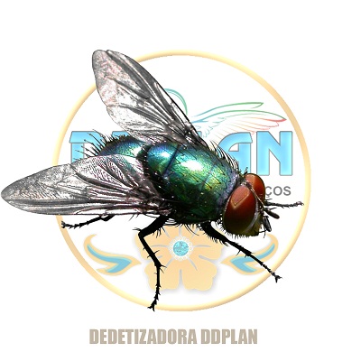 DEDETIZADORA DDPLAN